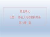 2024七年级语文上册第五单元17猫习题课件（部编版）