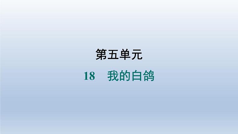 2024七年级语文上册第五单元18我的白鸽习题课件（部编版）01