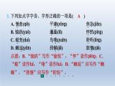 2024七年级语文上册第五单元18我的白鸽习题课件（部编版）