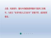 2024七年级语文上册第五单元18我的白鸽习题课件（部编版）
