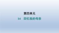 初中语文人教部编版（2024）七年级上册（2024）第四单元14 回忆我的母亲/朱德习题课件ppt
