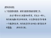 2024七年级语文上册第四单元13纪念白求恩习题课件（部编版）