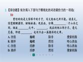 2024七年级语文上册第三单元10往事依依习题课件（部编版）