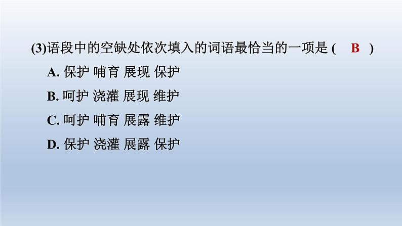 2024七年级语文上册第二单元6散步课件（部编版）06