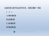 2024七年级语文上册第二单元5秋天的怀念习题课件（部编版）