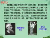 写作 如何突出中心 课件 初中语文人教部编版（2024）七年级上册