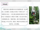 12 醉翁亭记 课件 初中语文人教部编版九年级上册