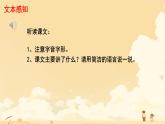 5 秋天的怀念 课件 初中语文人教部编版（2024）七年级上册