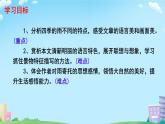 3  雨的四季 课件 初中语文人教部编版（2024）七年级上册
