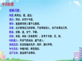 3  雨的四季 课件 初中语文人教部编版（2024）七年级上册