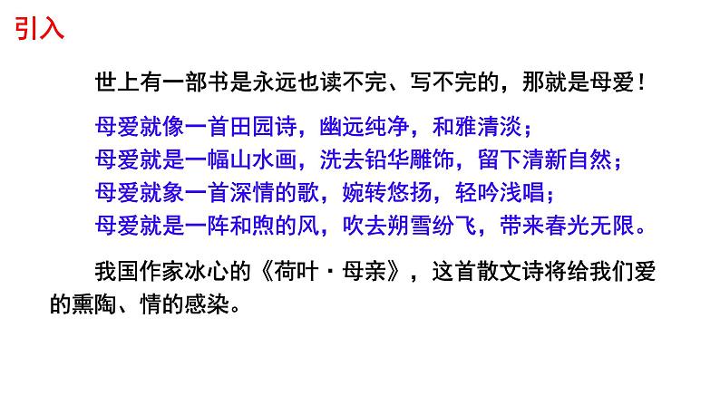 荷叶·母亲 课件 初中语文人教部编版（2024）七年级上册01