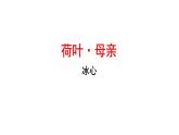 荷叶·母亲 课件 初中语文人教部编版（2024）七年级上册