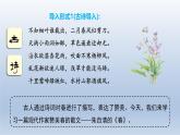 2024七年级语文上册第一单元1春课件（部编版）