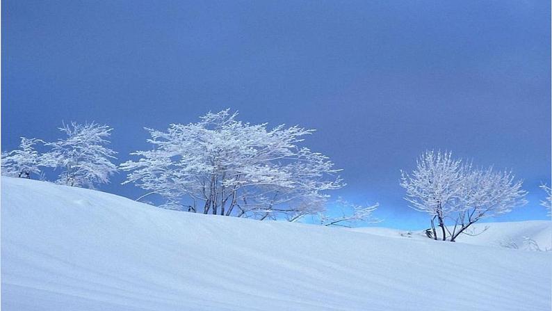 2024七年级语文上册第一单元2济南的冬天课件（部编版）05
