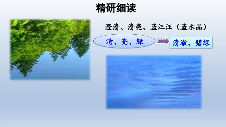 2024七年级语文上册第一单元2济南的冬天课件（部编版）05