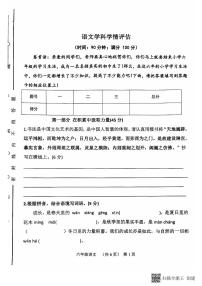 山东省聊城市阳谷县实验中学2024-2025学年七年级上学期开学语文试题