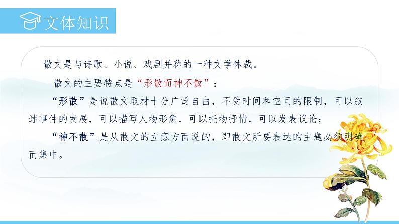 部编版（2024）七年级语文上册课件 第二单元 第五课《秋天的怀念》03