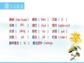 部编版（2024）七年级语文上册课件 第二单元 第五课《秋天的怀念》