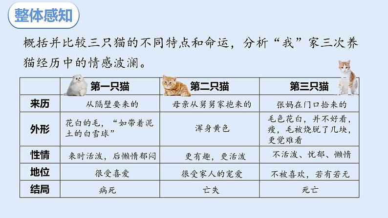 部编版（2024）七年级语文上册课件 第五单元 第十七课《猫》06