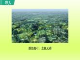 2024八年级语文上册第三单元12与朱元思书教学课件（部编版）