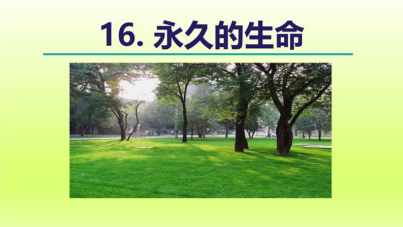 2024八年级语文上册第四单元16散文二篇永久的生命课件（部编版）02