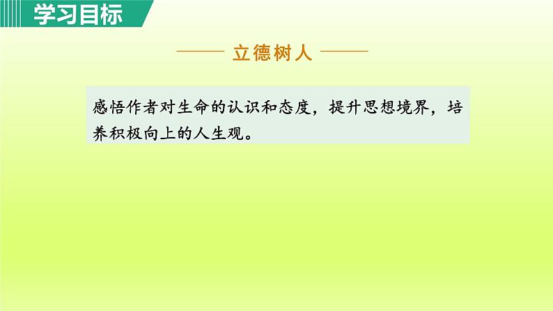 16. 永久的生命课件第5页