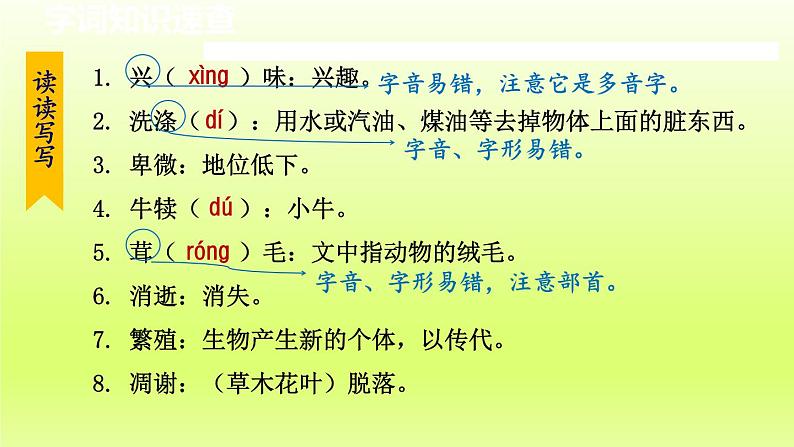 16. 永久的生命课件第8页