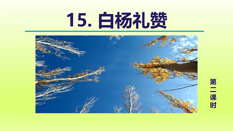2024八年级语文上册第四单元15白杨礼赞教学课件（部编版）01