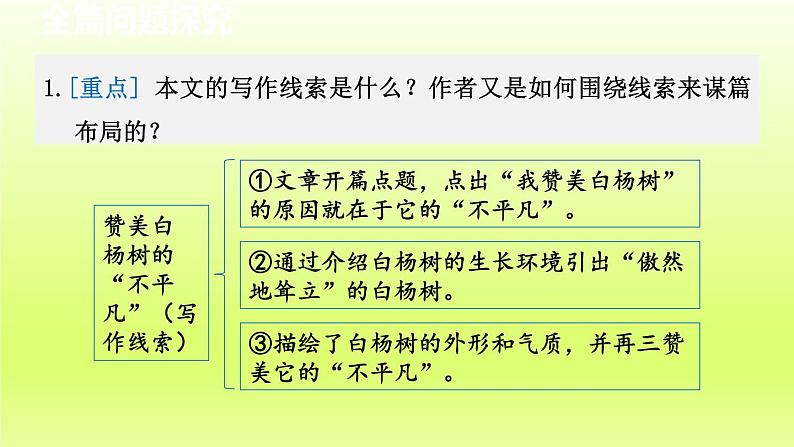2024八年级语文上册第四单元15白杨礼赞教学课件（部编版）05