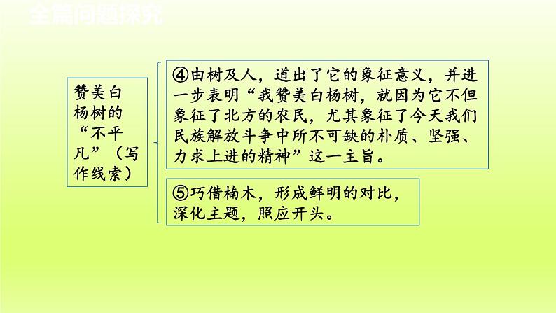 2024八年级语文上册第四单元15白杨礼赞教学课件（部编版）06