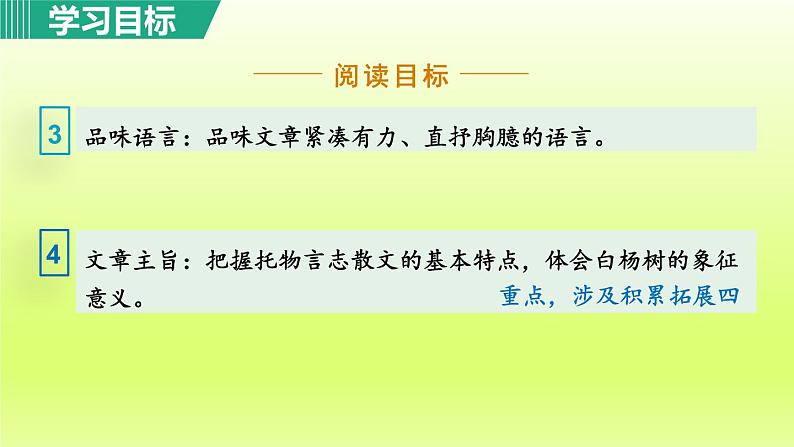 2024八年级语文上册第四单元15白杨礼赞教学课件（部编版）06