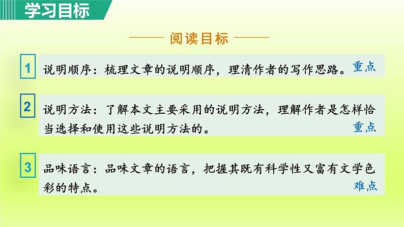 2024八年级语文上册第五单元22梦回繁华教学课件（部编版）04