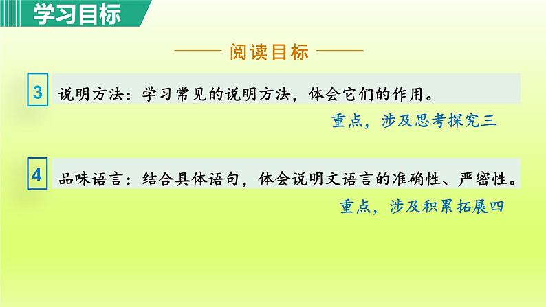 2024八年级语文上册第五单元18中国石拱桥教学课件（部编版）06