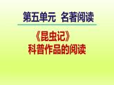 2024八年级语文上册第五单元名著导读昆虫记科普作品的阅读课件（部编版）