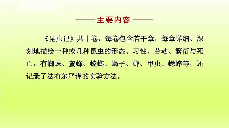 2024八年级语文上册第五单元名著导读昆虫记科普作品的阅读课件（部编版）03