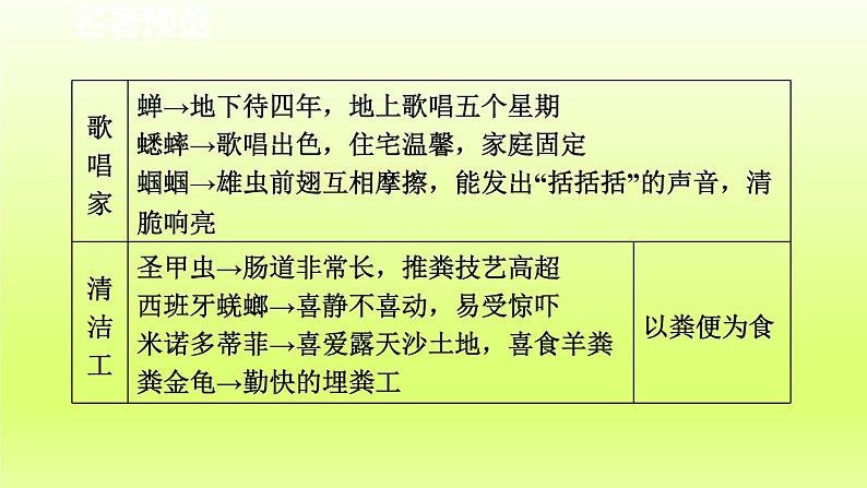 2024八年级语文上册第五单元名著导读昆虫记科普作品的阅读课件（部编版）04