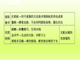 2024八年级语文上册第五单元名著导读昆虫记科普作品的阅读课件（部编版）