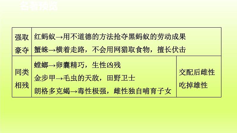 2024八年级语文上册第五单元名著导读昆虫记科普作品的阅读课件（部编版）05