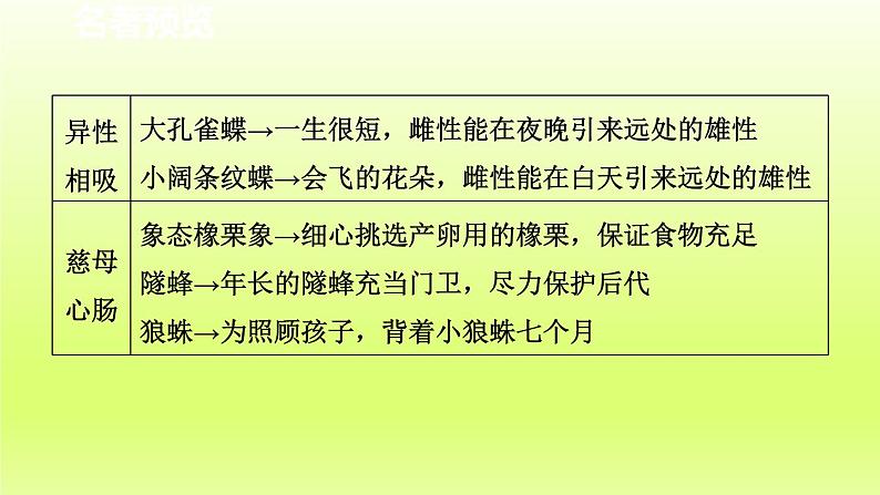 2024八年级语文上册第五单元名著导读昆虫记科普作品的阅读课件（部编版）06