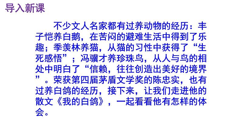 统编版（2024）七上语文第18课《我的白鸽》精品实用高效课件.第2页