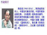 统编版（2024）七上语文第18课《我的白鸽》精品实用高效课件.