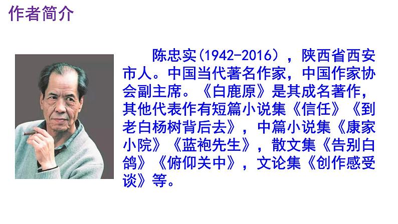 统编版（2024）七上语文第18课《我的白鸽》精品实用高效课件.第4页