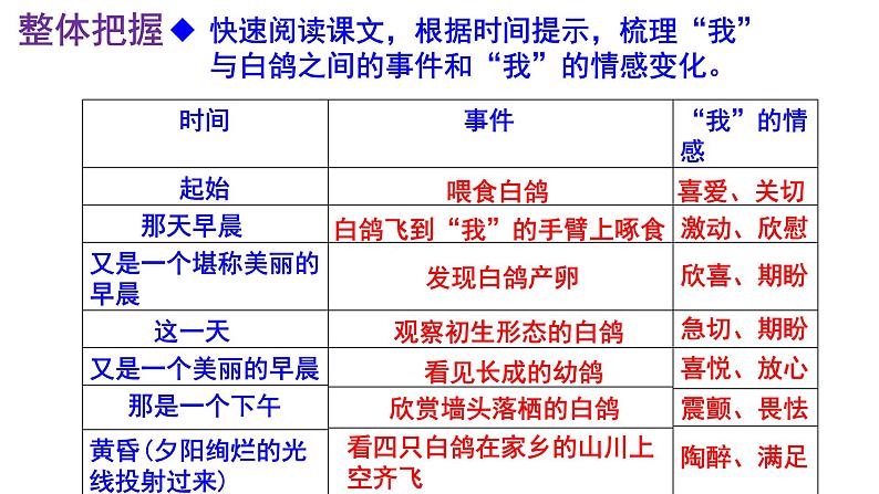 统编版（2024）七上语文第18课《我的白鸽》精品实用高效课件.第7页