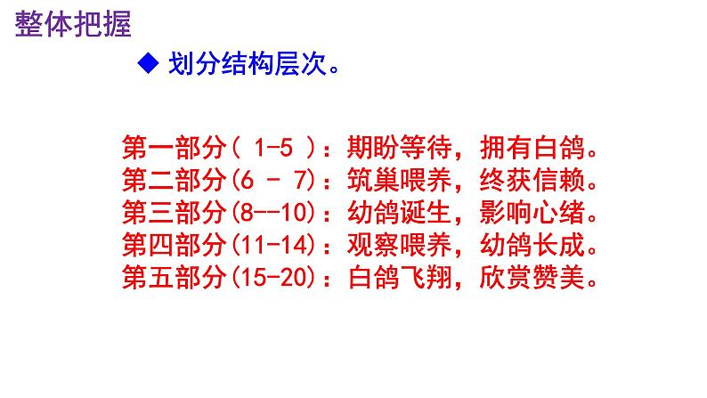 统编版（2024）七上语文第18课《我的白鸽》精品实用高效课件.第8页