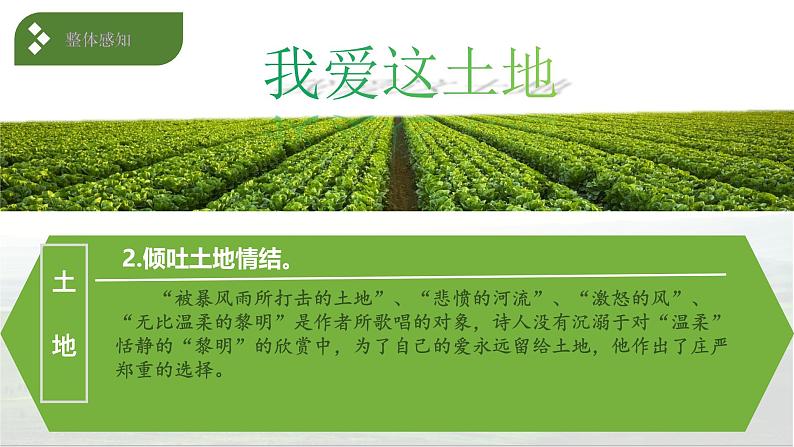 九年级上第一单元我爱这土地-deng 第7页
