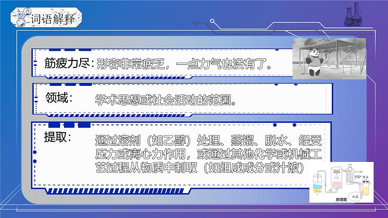 部编版初中语文PPT课件八年级第二单元美丽的颜色08