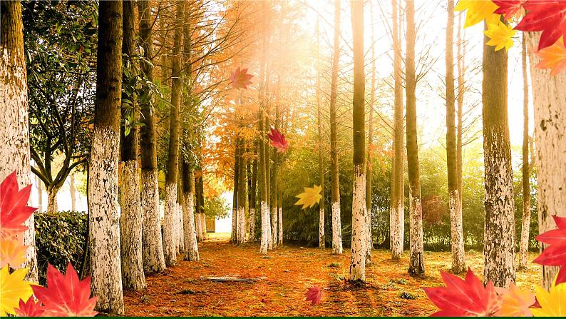 部编版初中语文PPT课件八年级上第四单元白杨礼赞01