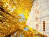 部编版初中语文PPT课件八年级上第四单元白杨礼赞