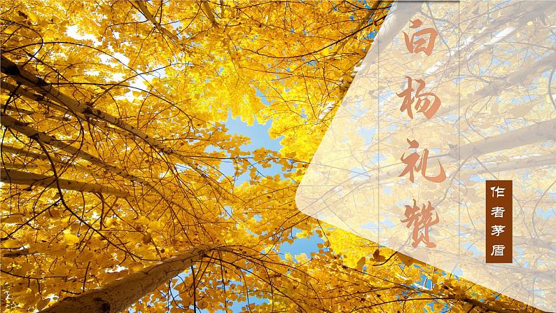 部编版初中语文PPT课件八年级上第四单元白杨礼赞02