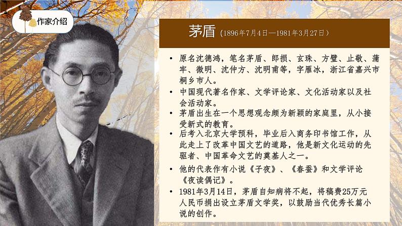 部编版初中语文PPT课件八年级上第四单元白杨礼赞05